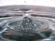 Water drop