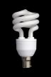Light Bulb