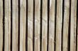 Wood Fence