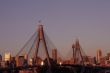 Anzac Bridge In Evening Light