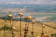 Galilee landscape