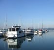Still Waters at the Marina