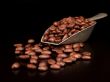 Coffee Beans in a Scoop