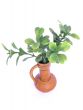 green twig in a vase