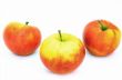 isolated apples