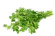 parsley isolated on white