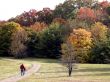 walking in autumn