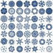 a collection of 49 snowflakes