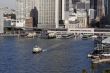 Sydney Office Buildings And Ferry Station