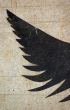Urban Textures: Wing