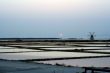 Windmill around Trapani in Sicily