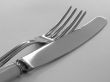 fork and knife