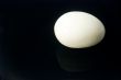 The boiled egg