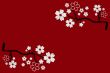 Flower Design
