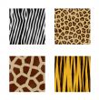 animal skins patterns