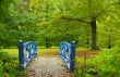 autumn in the park