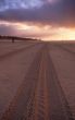 tire tracks on the beach
