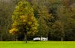 autumn in the park