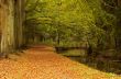 autumn in the park