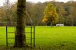 autumn in the park