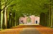 autumn in the park