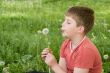 boy with dandelion