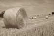 Hay bales