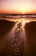 sunset landscape