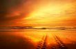 sunset landscape
