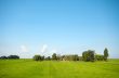 summer landscape