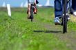 cycling in the netherlands