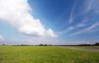 grass and blue sky background