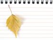 notepad with yellow leaf