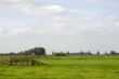 Dutch landscape