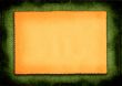 paper on green background