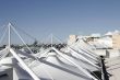 Modern Building Roof