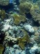 Great Barrier Reef
