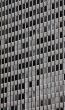 Urban Building Facade