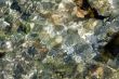 Ocean Surface