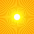 Yellow Sun