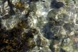 Ocean Surface