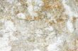 Stone Texture