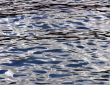 Water Surface