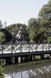 Little Bridge
