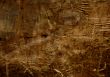 Wood Grunge Abstract