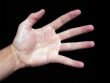 Hand