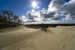 Seaside Baltic  - a dune