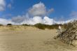 Seaside Baltic  - a dune