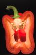 Red Bell Pepper
