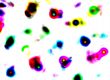 abstract coloured amoeba